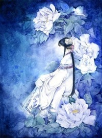 小貓大狗